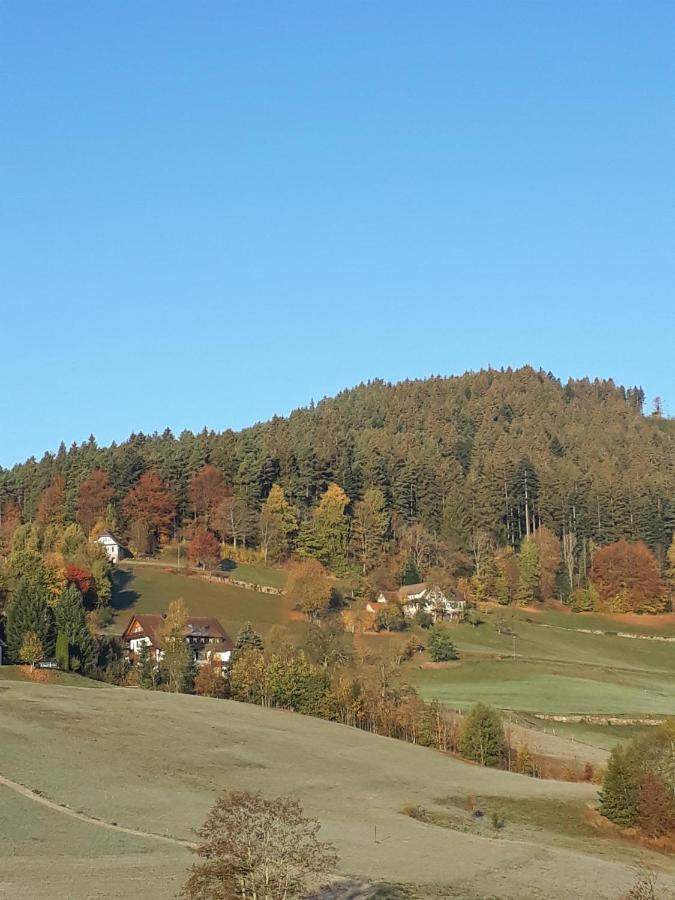 Isoldes Landhaus Baiersbronn Esterno foto
