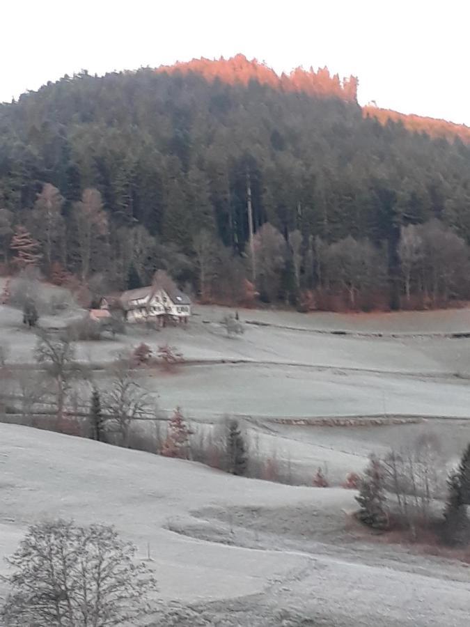Isoldes Landhaus Baiersbronn Esterno foto